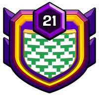 6th leigon badge