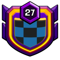 VZLA RAIDERS badge