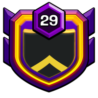 20-War-7 badge