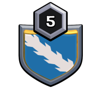 warriors badge