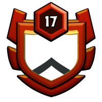 The warriors badge