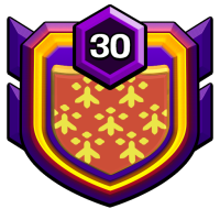 300,WARRIORS badge